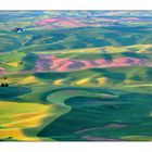 The Palouse