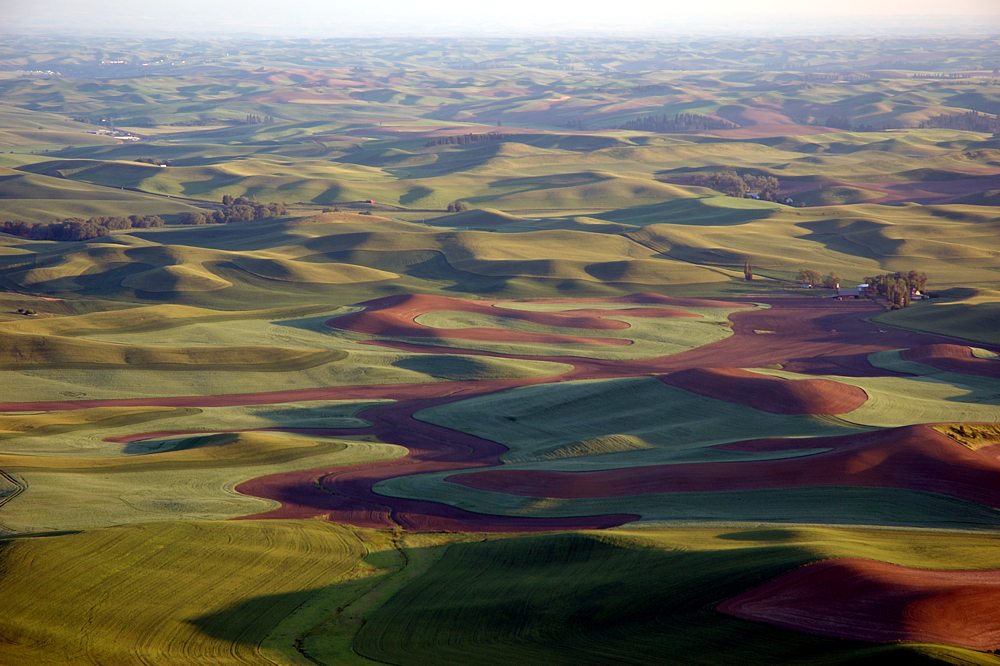 The Palouse von Bär Tig