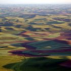 The Palouse