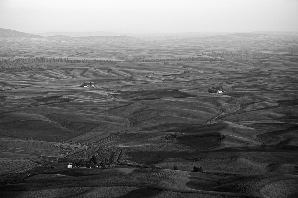 The Palouse