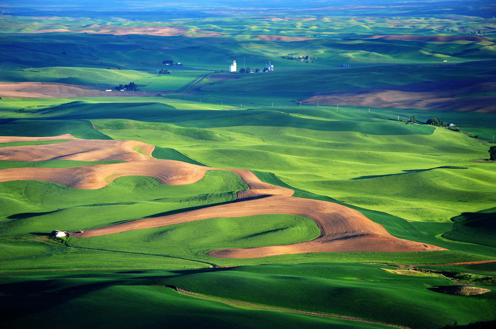 The Palouse