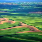 The Palouse