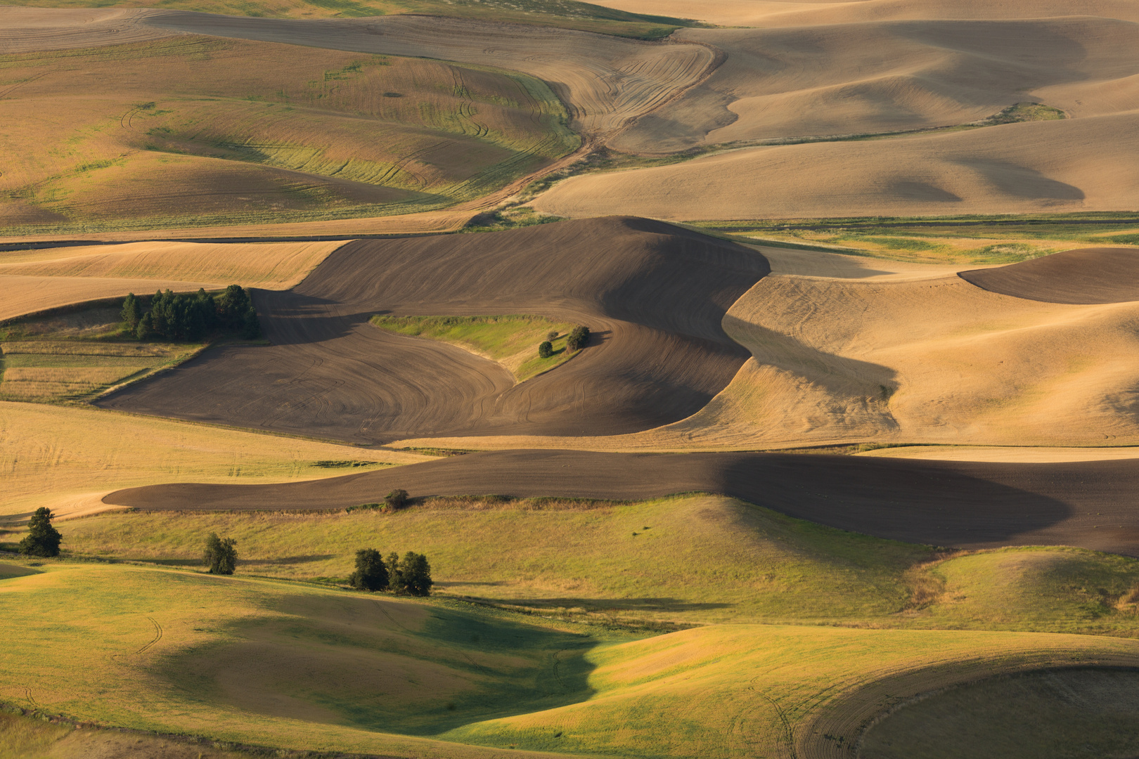 The Palouse II