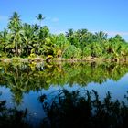 The Paradise Tahiti