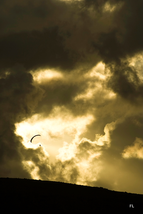 The Paraglider