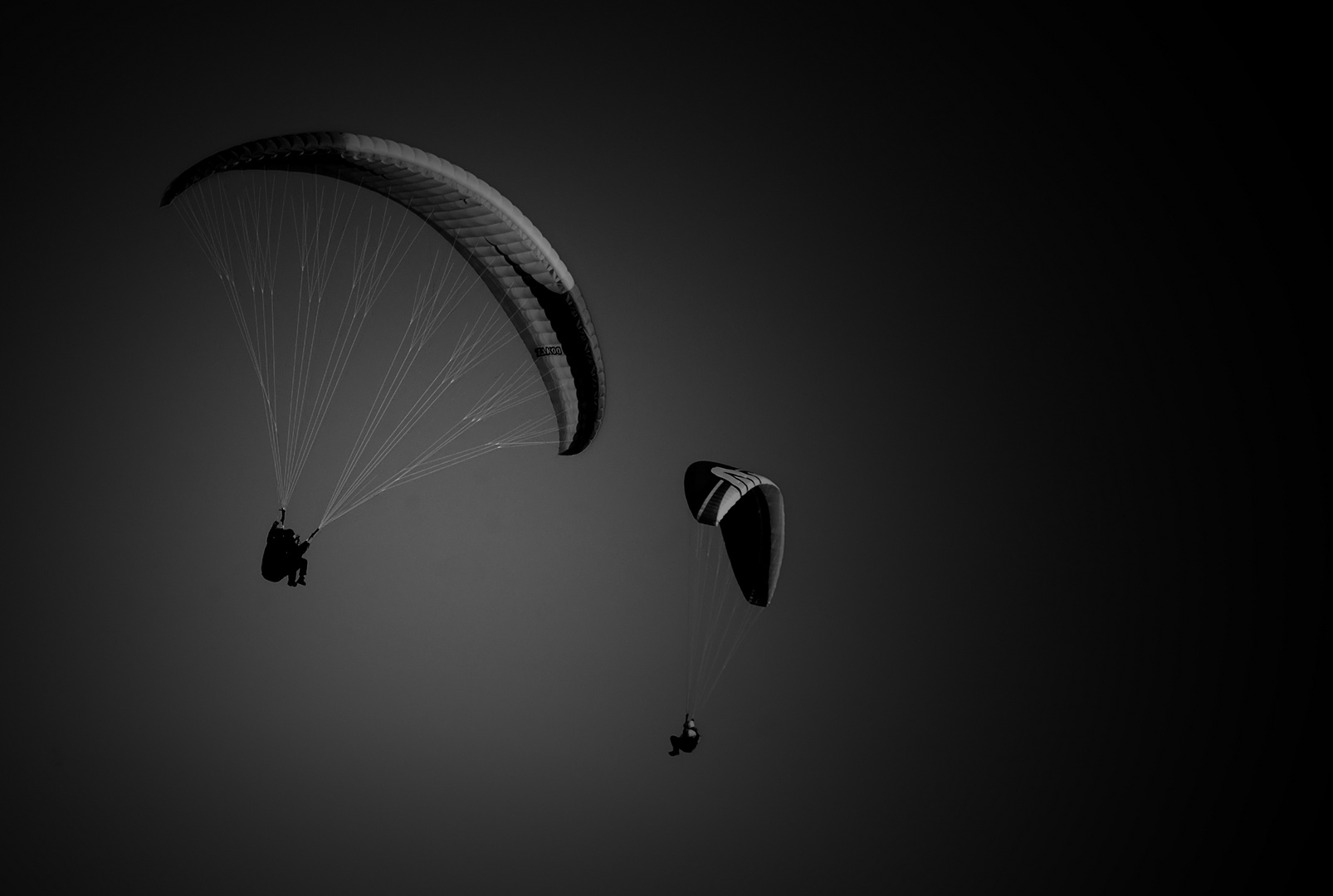 The paraglider