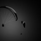 The paraglider