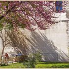 the park at ragusa ibla 7