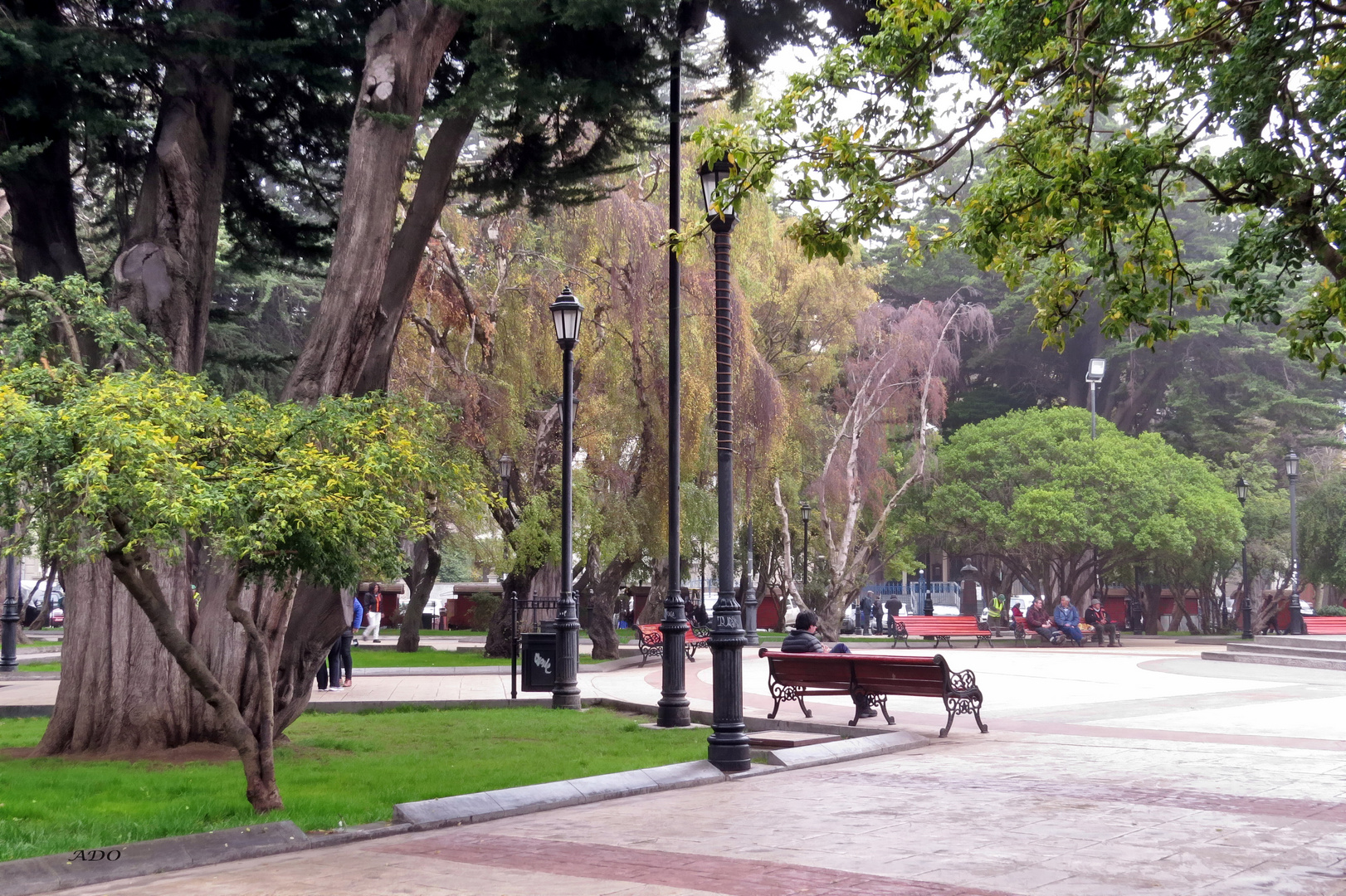 The Park in Punta Arenas