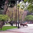 The Park in Punta Arenas