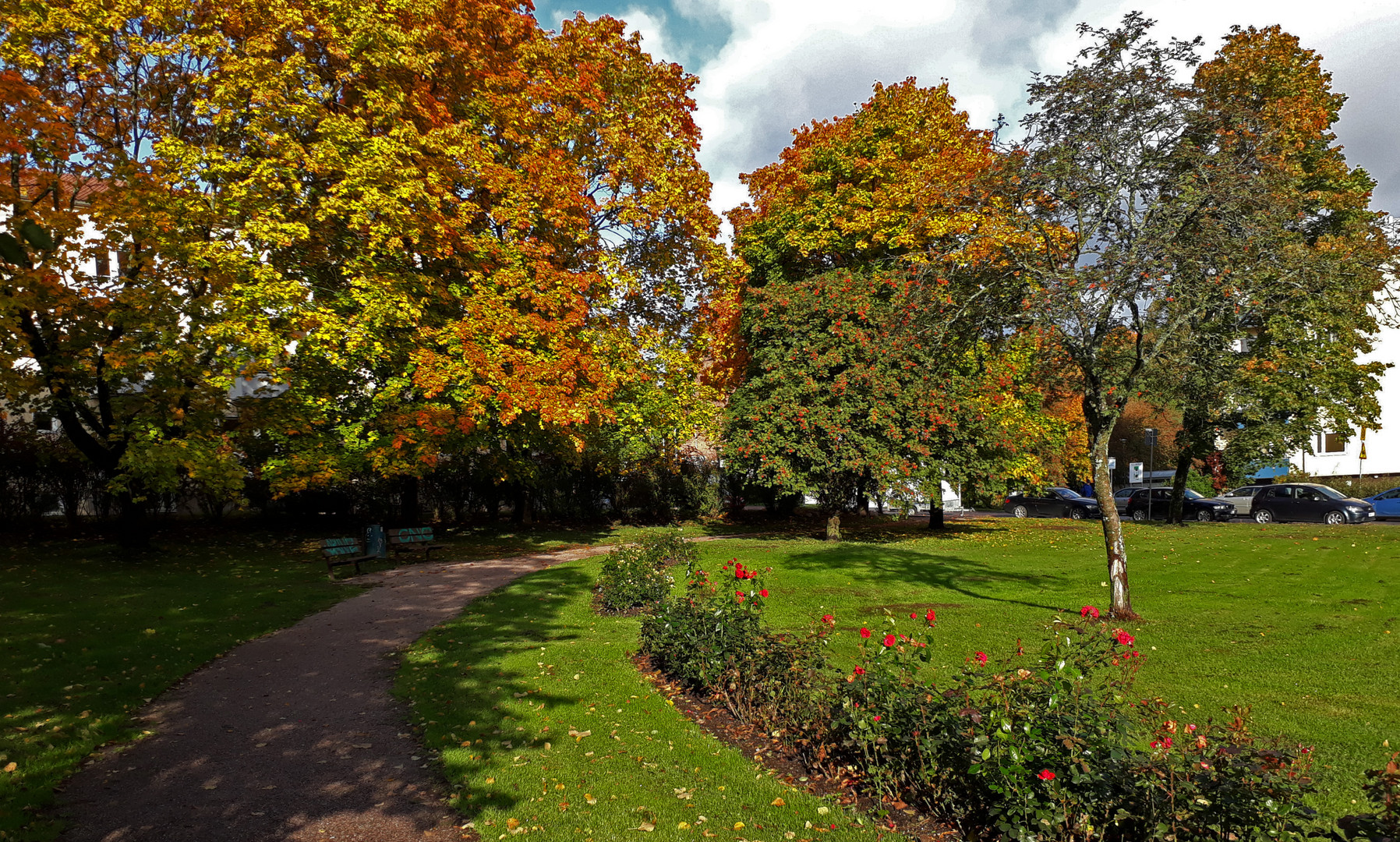 The park near my home