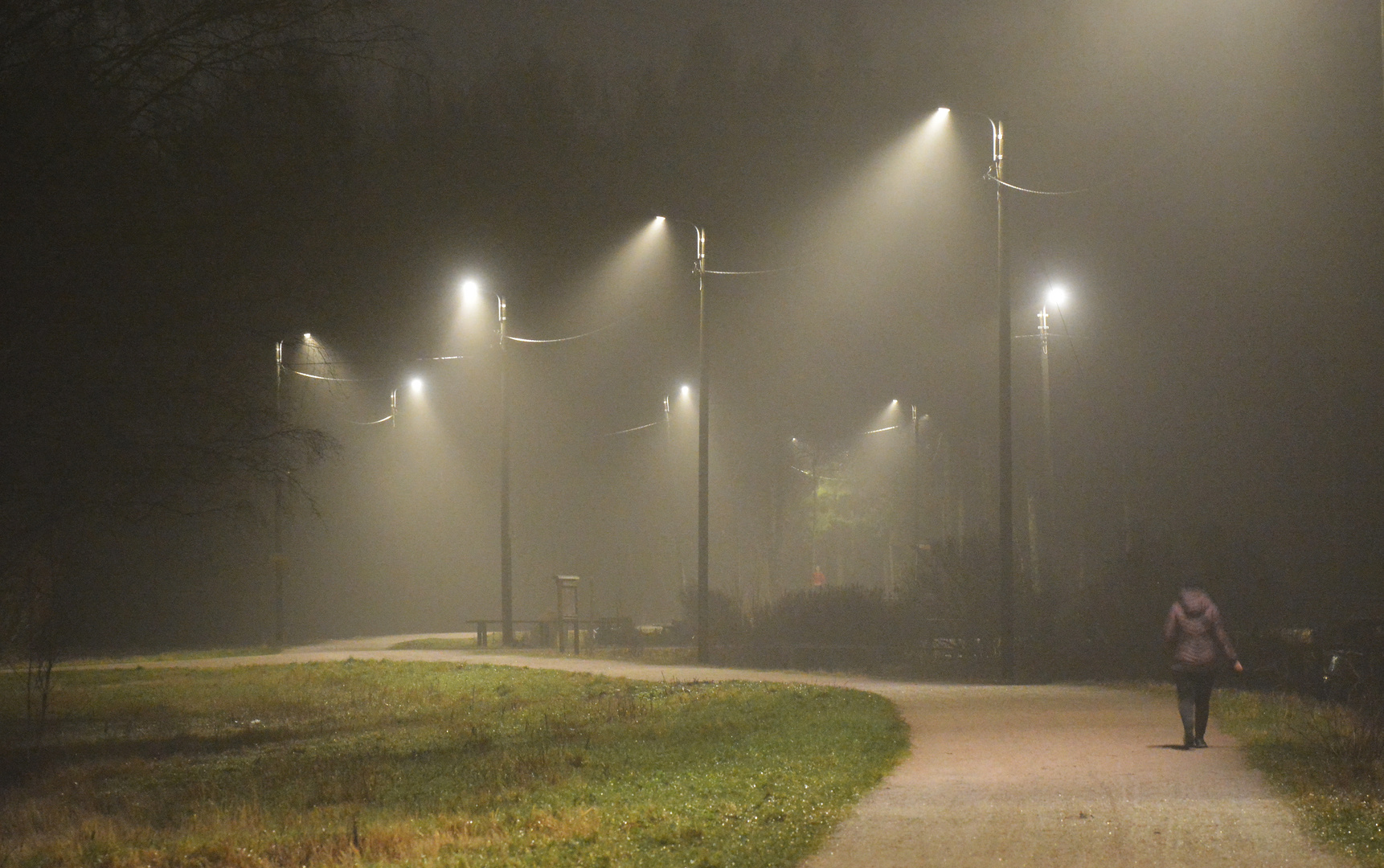 The park way in the foggy evening