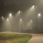 The park way in the foggy evening