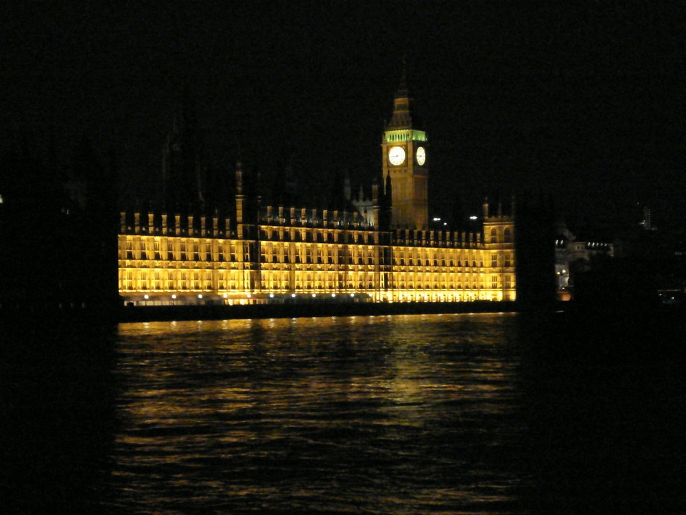 The parliament by night