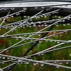 The part of my bicycles wheel on rainy day