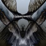 The Pass:anger