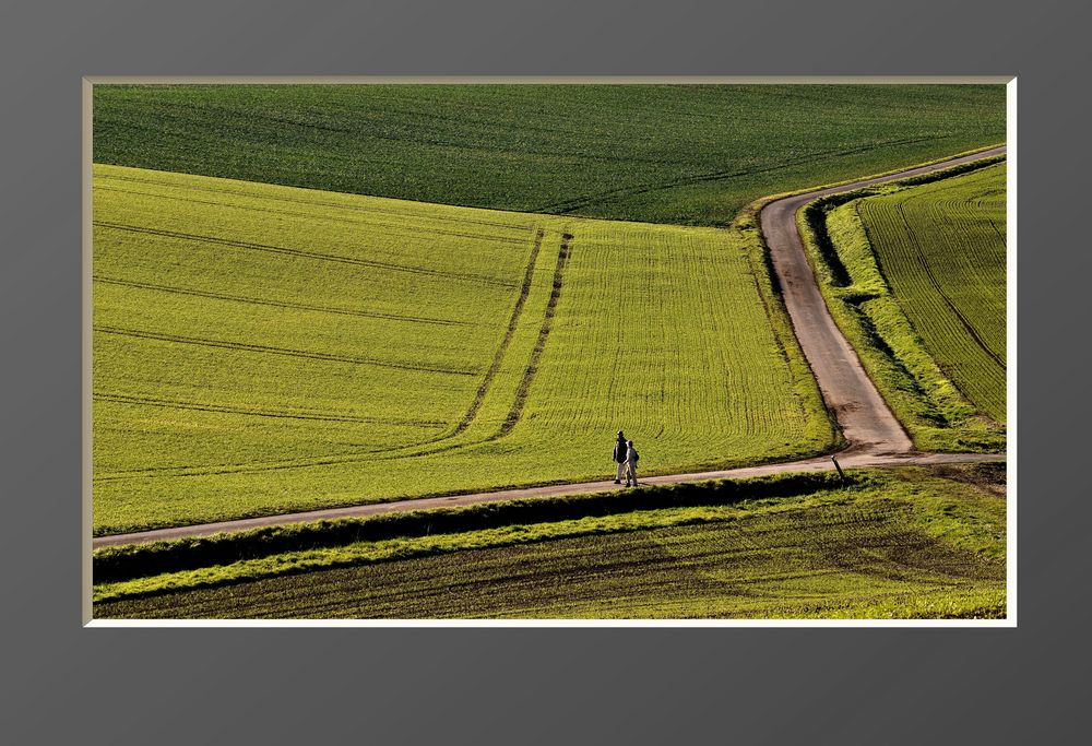 The Path (Eifel)