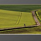 The Path (Eifel)