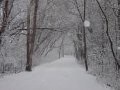 The PATH In Winter