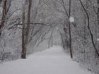 The PATH In Winter