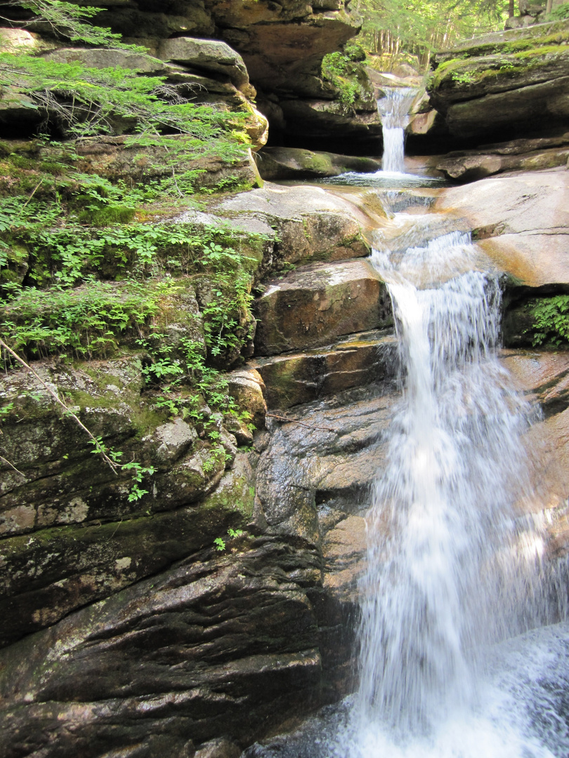 The Path of Sabbaday Falls