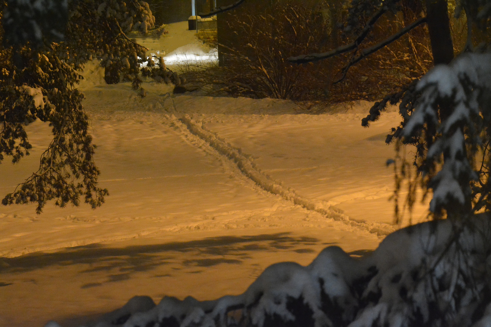 The path on park