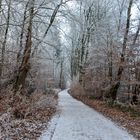 The path through the forest