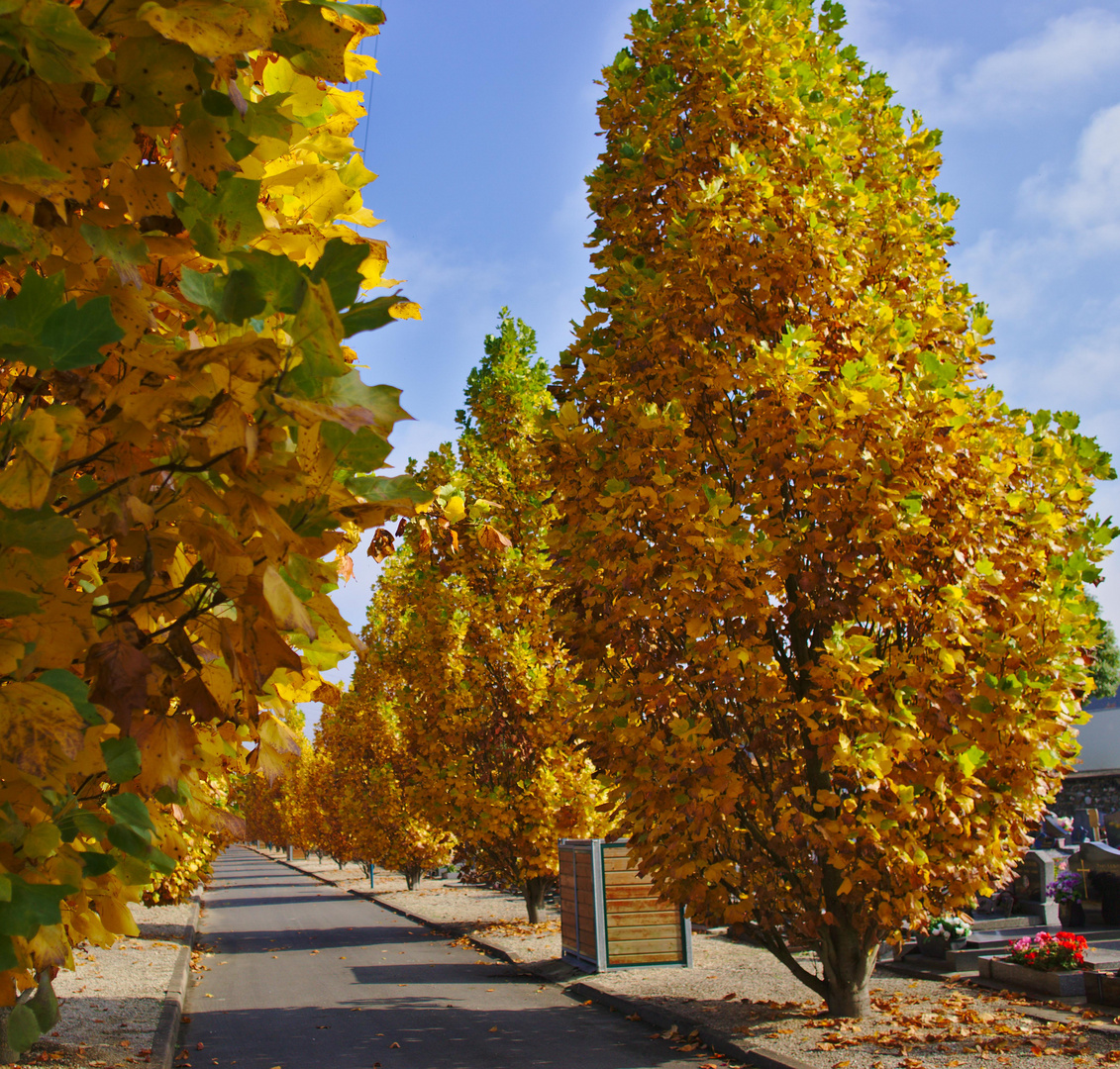 The path to autumn