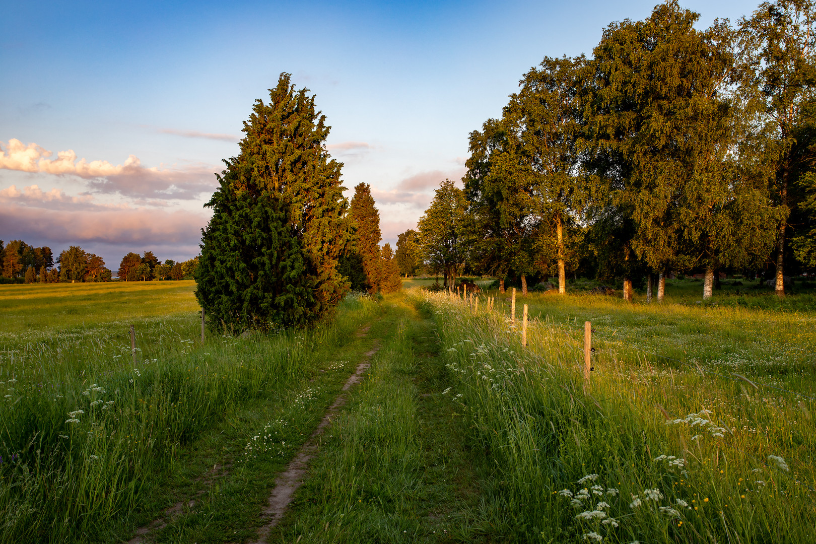 The path to summer...