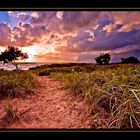 The path to the beach.