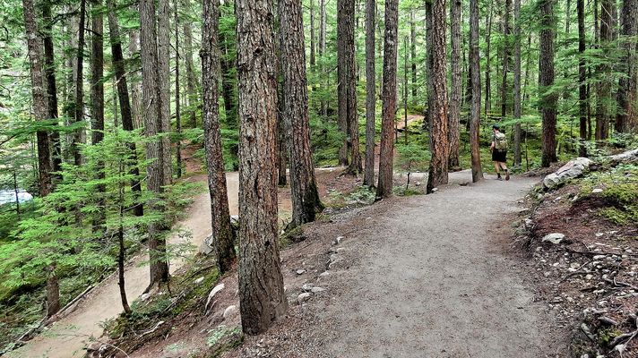 The path to the Train Wreck