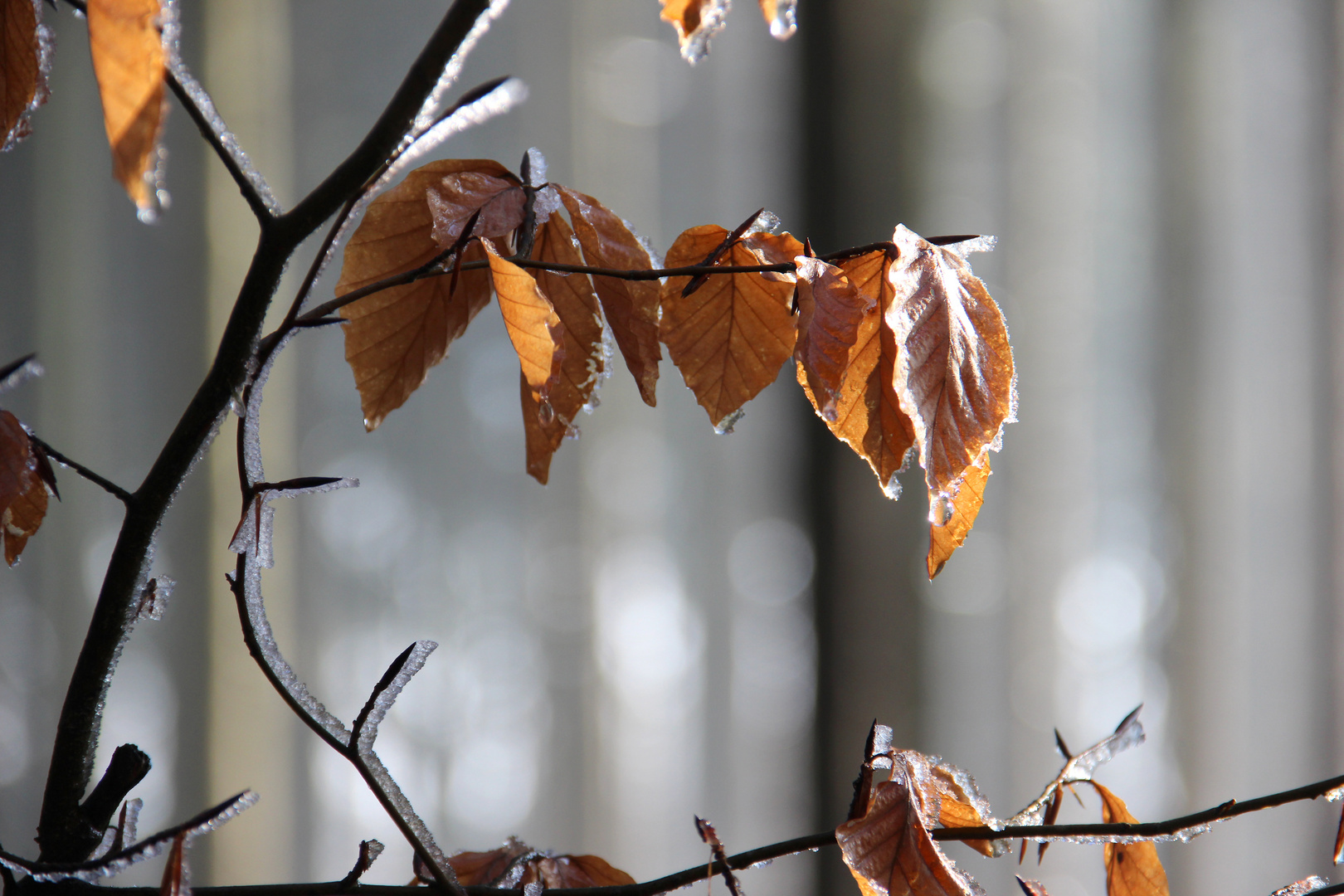 The patient waiting of Nature