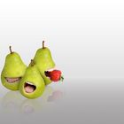 the pear family