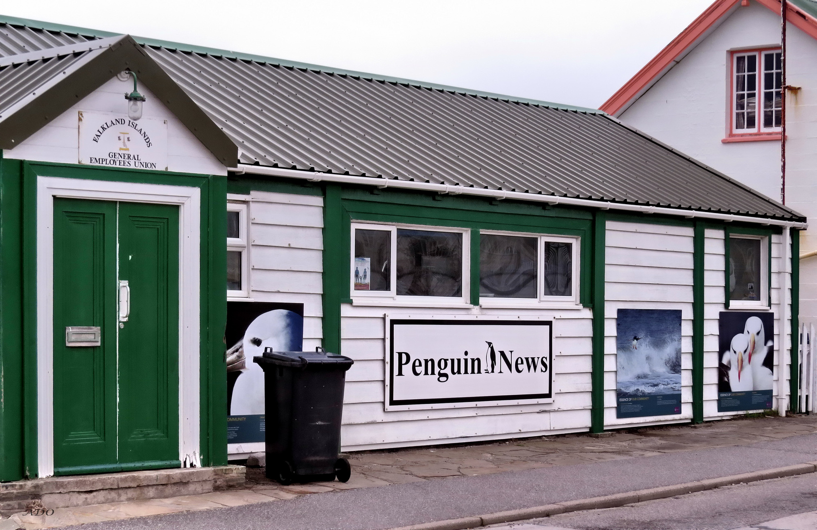 The Penguin News