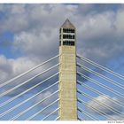 The Penobscot Narrows Observatory