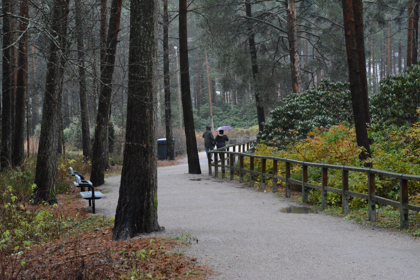 The peoples walking on Rhododendron park on rainy day