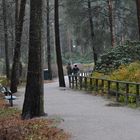 The peoples walking on Rhododendron park on rainy day