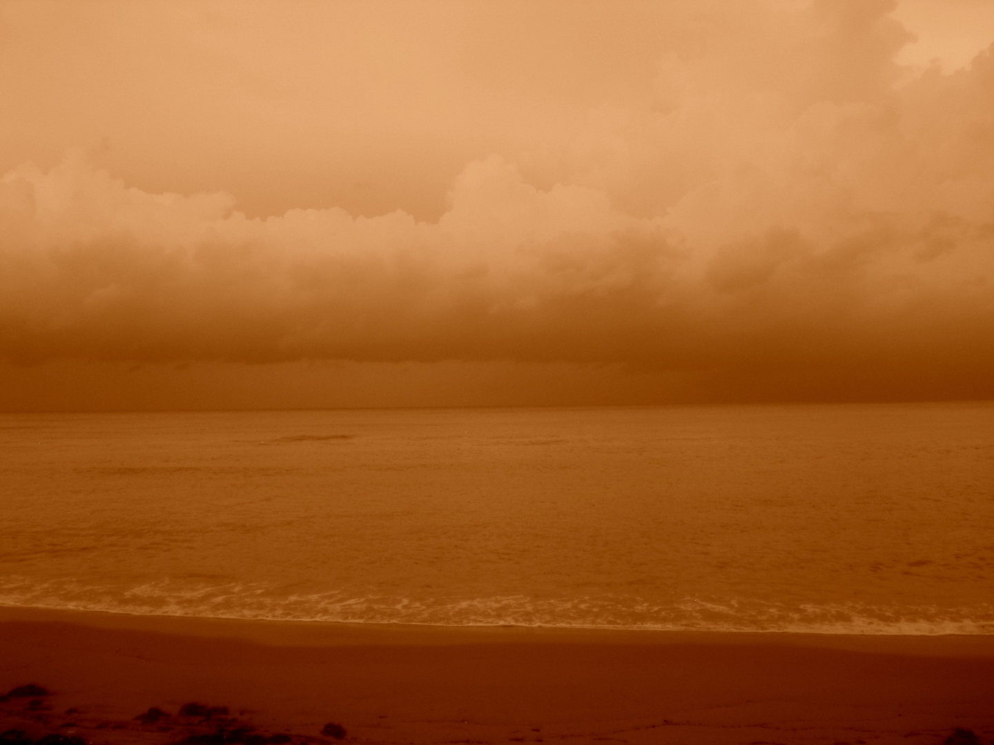 The Perfect Storm -- Hurricane Irene Miami Beach 2011