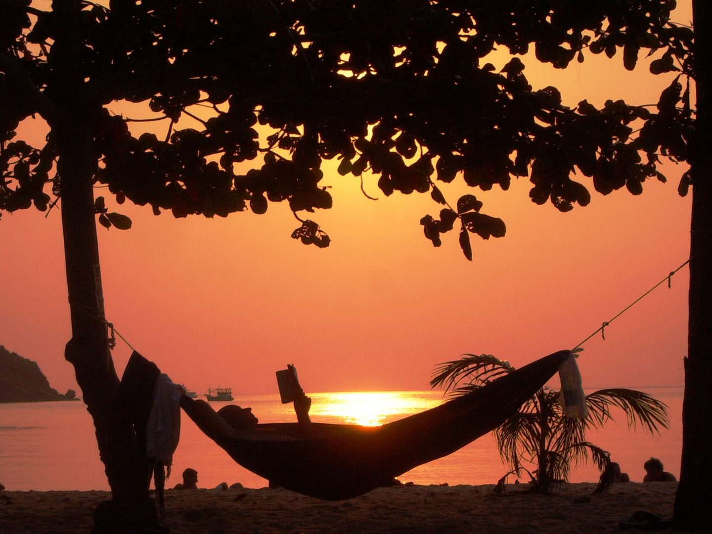 The Philosophers Hammock