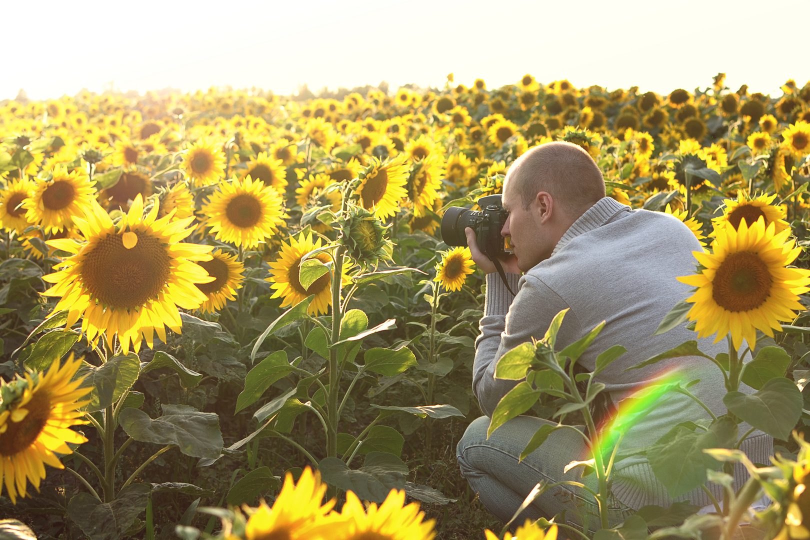 The Photographer 2