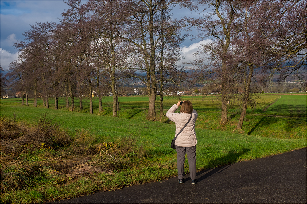 The Photographer