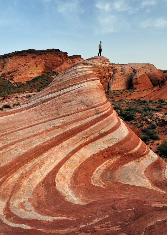 *the photographer and the landscape*