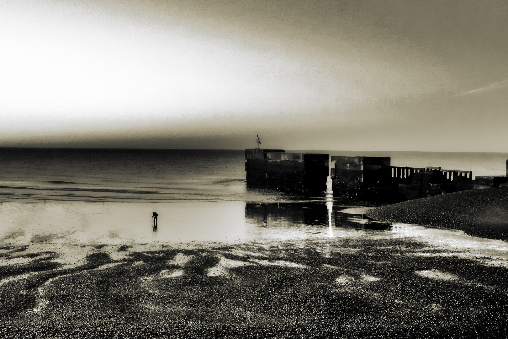 the photographer at the beach