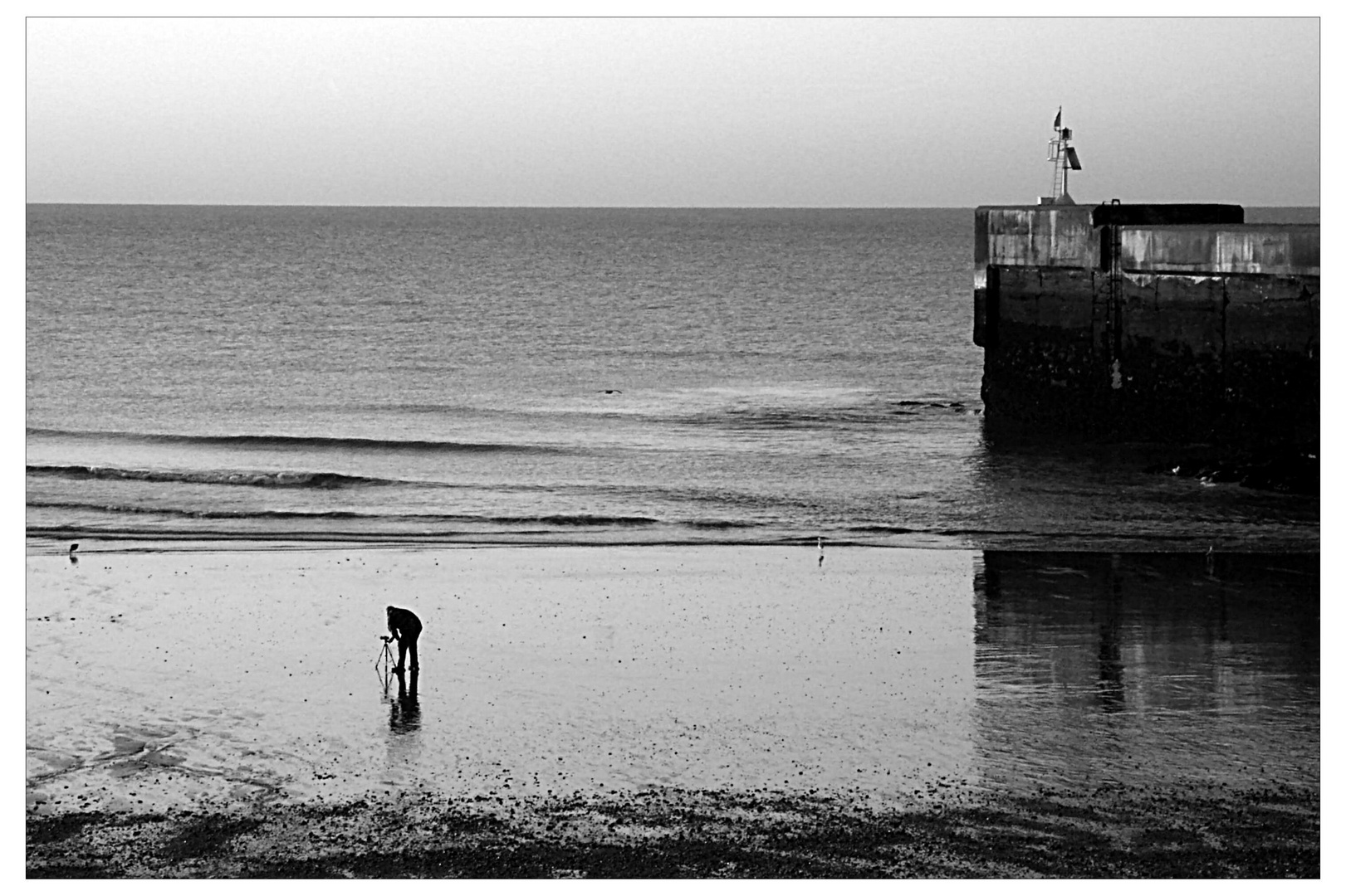 the photographer at the beach