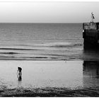 the photographer at the beach