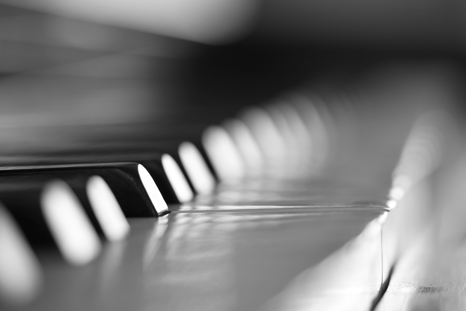 The Piano