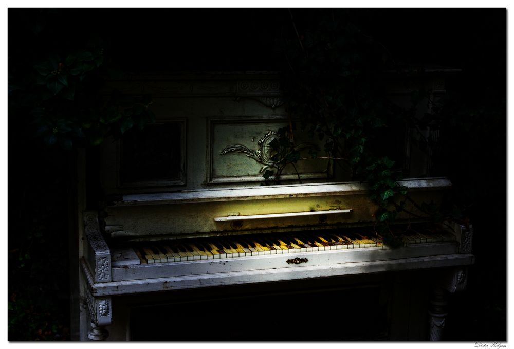 The Piano