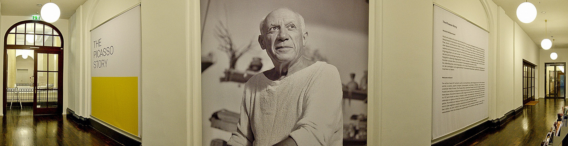 The Picasso Story VII