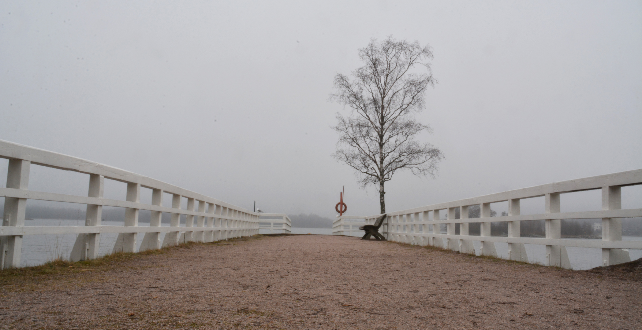 The pier and tree