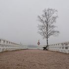 The pier and tree